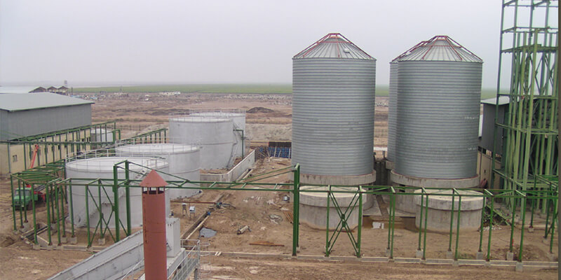 Cattle Feed Plant, Debal-Khazai Unit